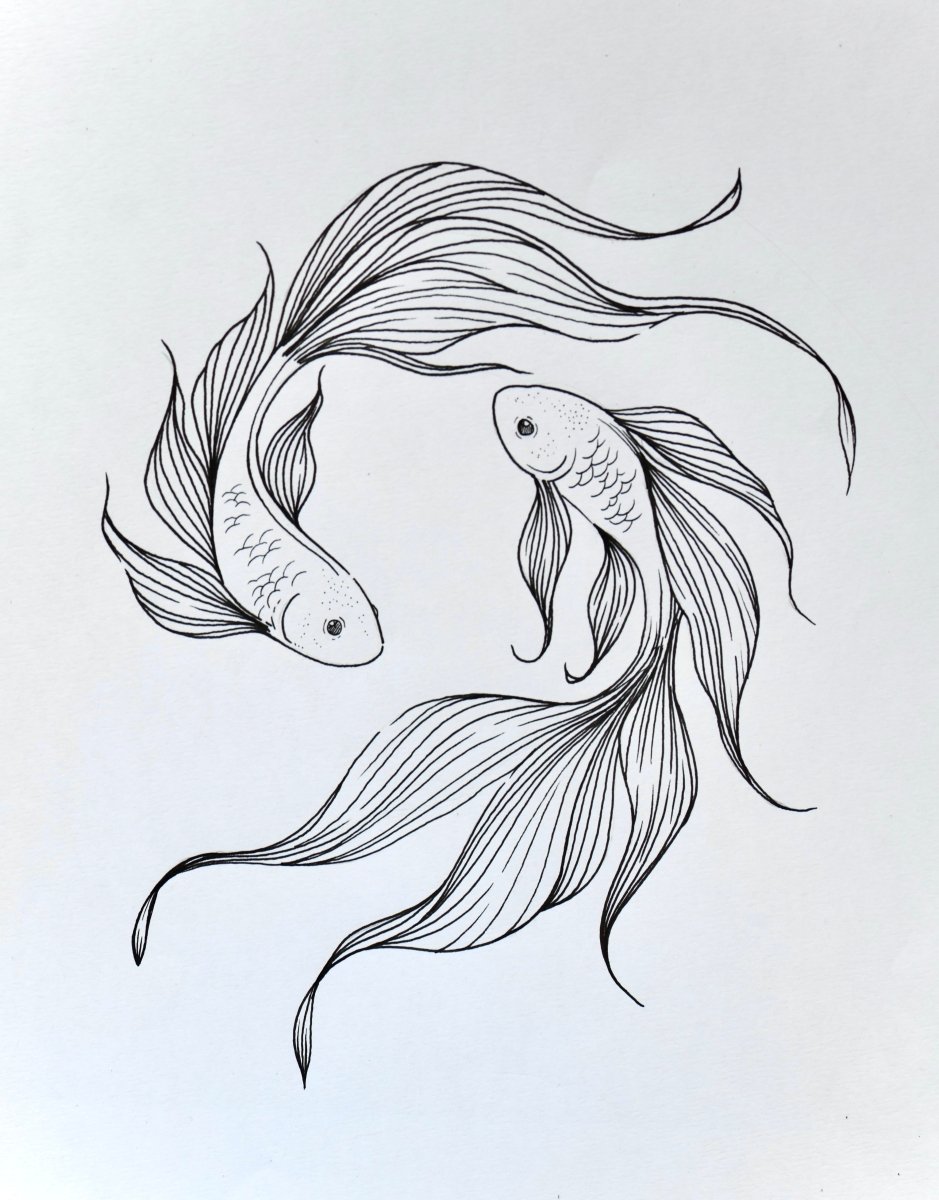Lisilinka Opal sketch — two koi fish line drawing included with every Opal Set during the May Giveaway