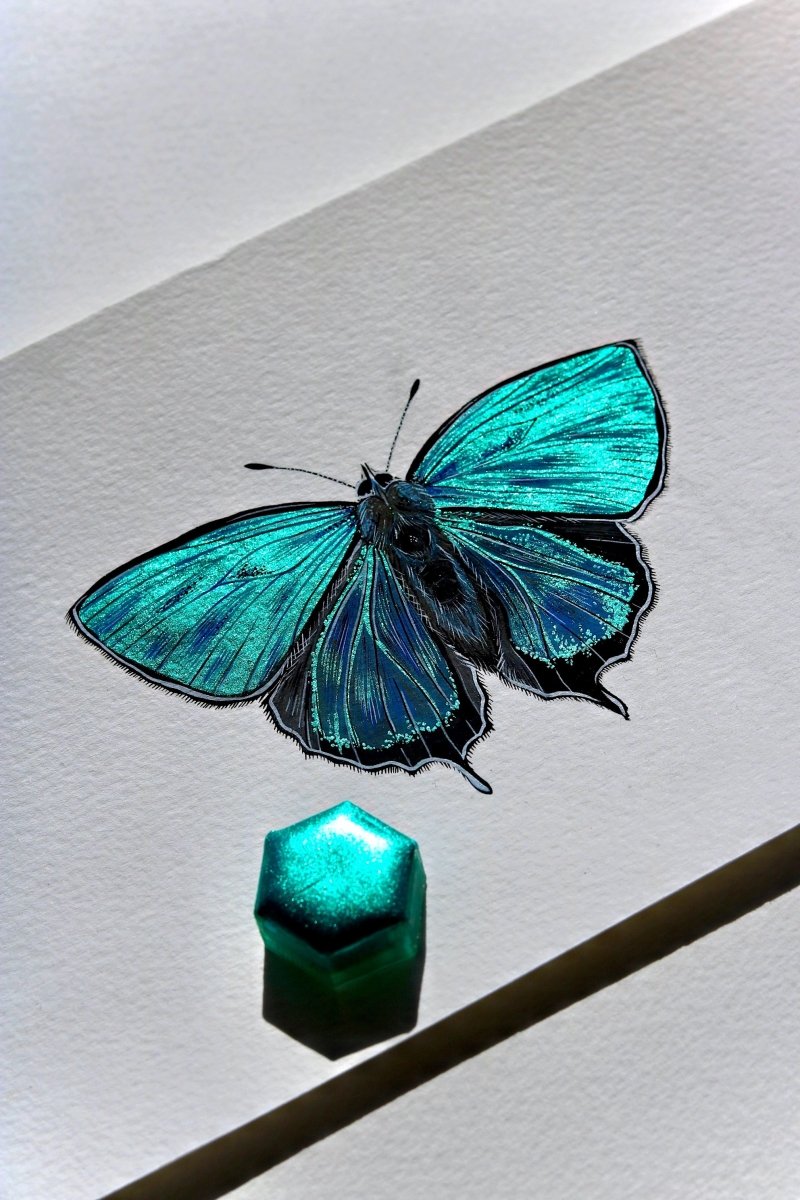 Polar Night - Lisilinka