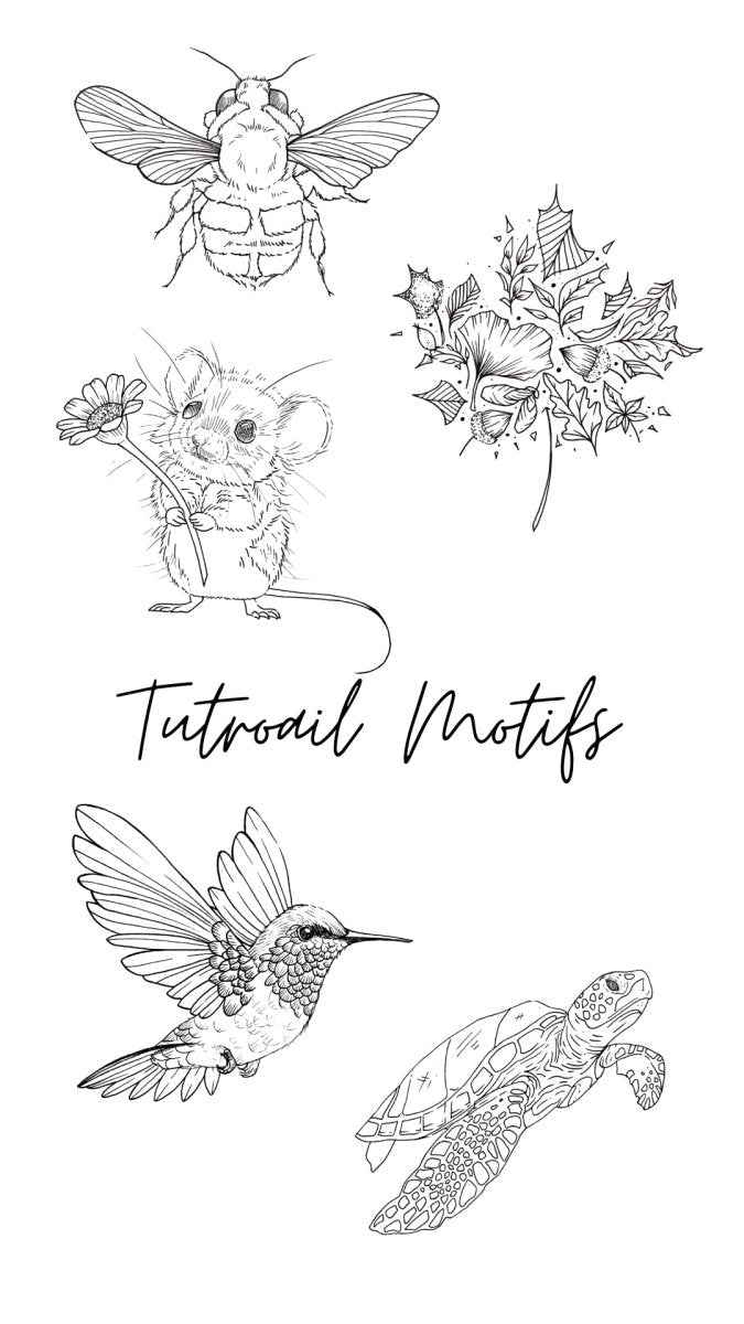 Lisilinka Sketches Tutorial 6 - 10 & Inspirations - Lisilinka