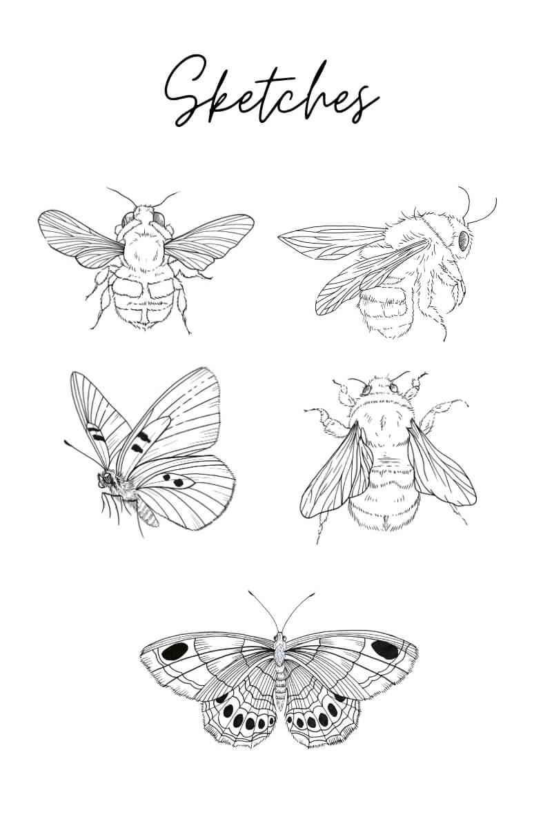 Metallic Prism Special — 5 hand-illustrated line-art sketches included: 3 bumblebees and 2 butterflies on watercolor paper, ready to paint