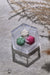 Make a Wish - Lisilinka